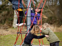 NET TWISTER