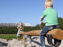 ENTRY SEESAW FOR 2 PERSONS