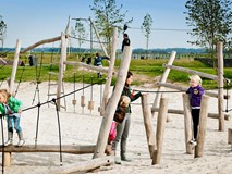Agility Trail 2
