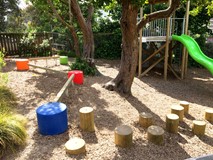 Wooden Stepping Logs