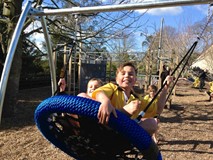 ACE Basket Swing