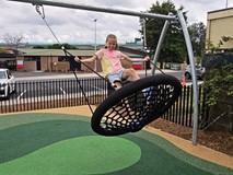 Ace 1 Bay Basket Swing
