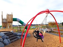 Eagles Claw Swing