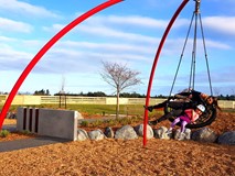 Eagles Claw Swing