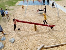 Waka Seesaw