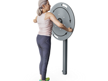 FLEX WHEEL