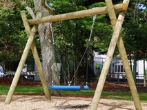 Forest Basket Swing