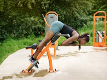 Lower Back Bench