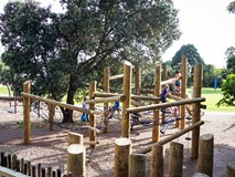 Piki-rakau Palisade