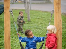 Robinia Flower Swing