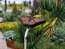 Percussion Play Butterfly
