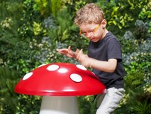 Percussion Toadstool