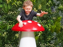 Percussion Toadstool