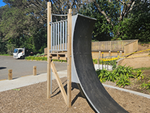 Ninja Wall