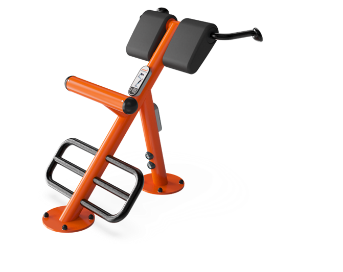 Lower Back Bench