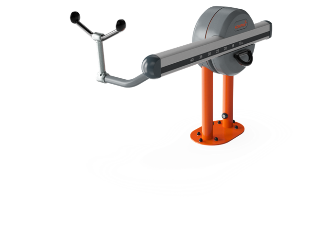 Biceps Curl