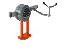 Biceps Curl