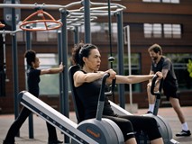 Chest Press