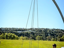 GIANT SWING WITH BIRDS NEST