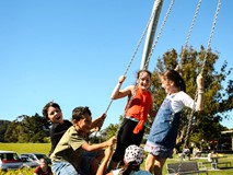 GIANT SWING WITH BIRDS NEST