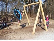 BIRD NEST SWING
