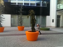 Loop Cone Planter