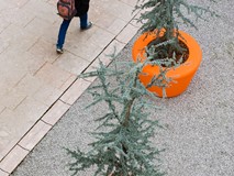 Loop Cone Planter