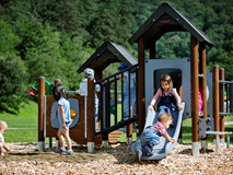 FOUR TOWER WITH TUNNEL, WOOD POSTS, PLASTIC SLIDE