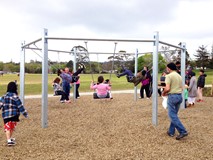Six Way Swing