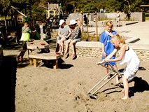 Sand Digger