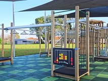 Owairaka District School