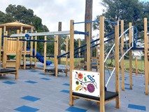 Waiuku Primary School