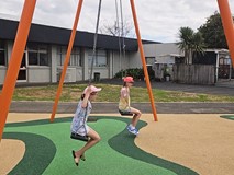 Ti Rakau Park