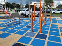 Ti Rakau Park