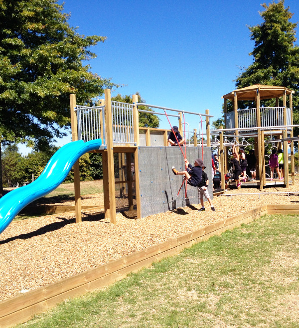 Popular School Designs