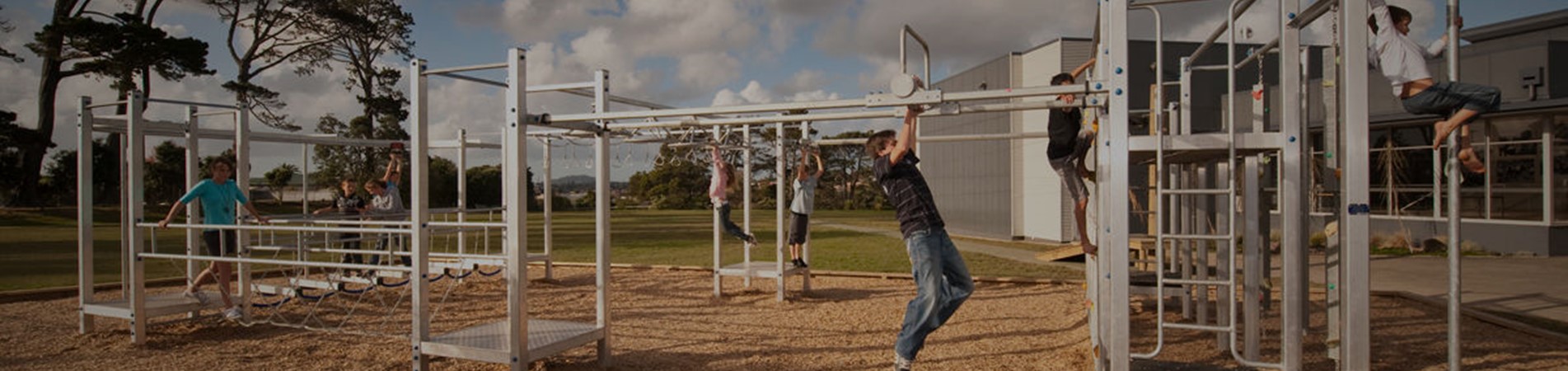 What is Brachiation?